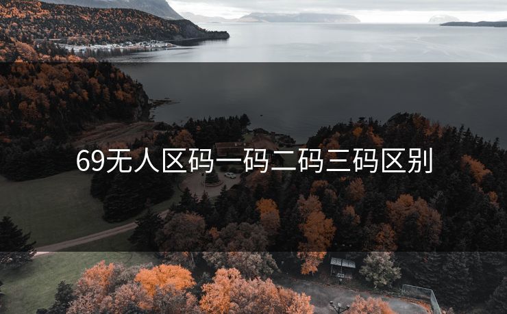 69无人区码一码二码三码区别  第1张