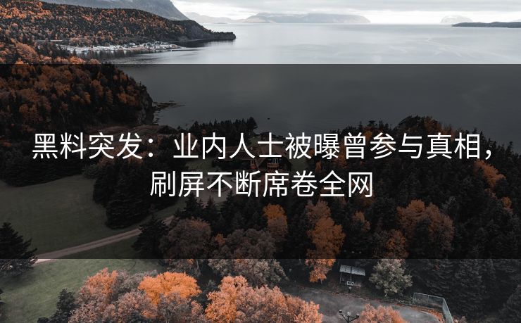 黑料突发：业内人士被曝曾参与真相，刷屏不断席卷全网