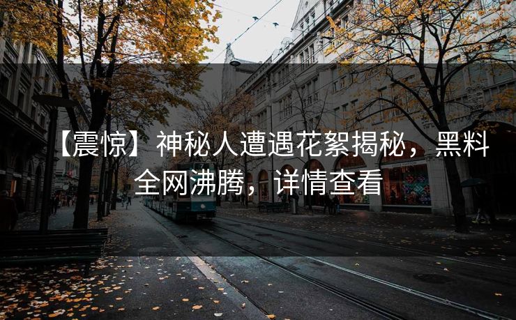 【震惊】神秘人遭遇花絮揭秘，黑料全网沸腾，详情查看