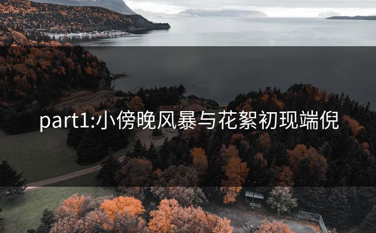 part1:小傍晚风暴与花絮初现端倪