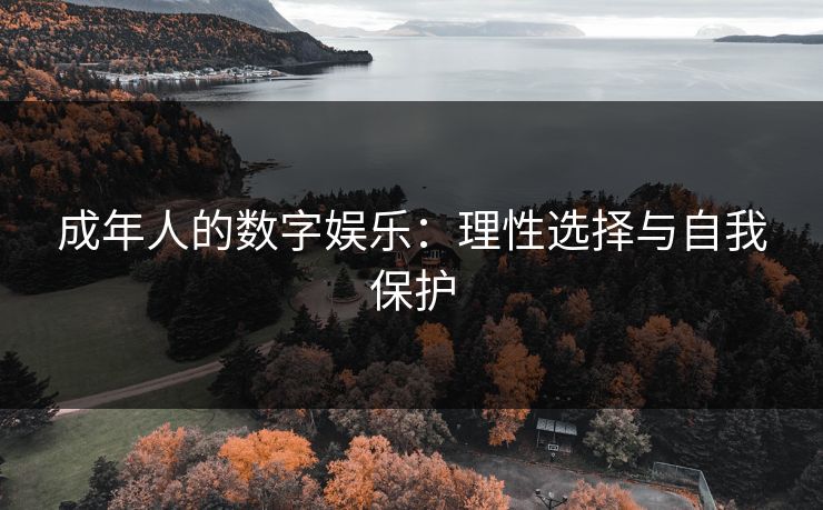 成年人的数字娱乐：理性选择与自我保护
